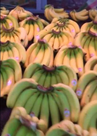 树上是好蕉，到货全水烂？！客商代办都喊冤，原来罪魁祸首竟是······