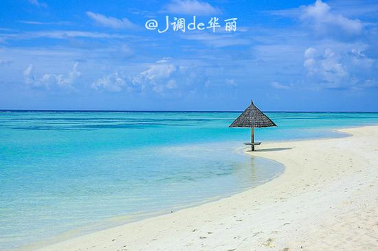 能吃遍全国美食的大学,吃遍全世界美食能去吗