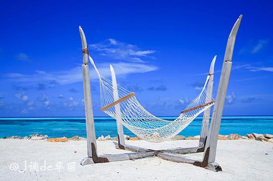 能吃遍全国美食的大学,吃遍全世界美食能去吗