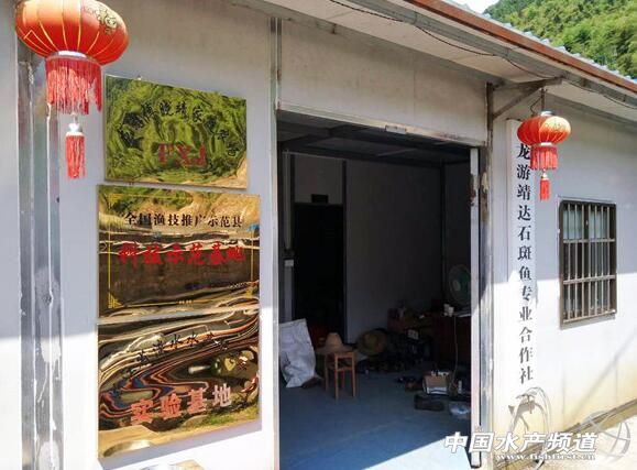 从颗粒无收到年赚百万,一位“农民赛车手”到石斑鱼“老大”的养殖之路