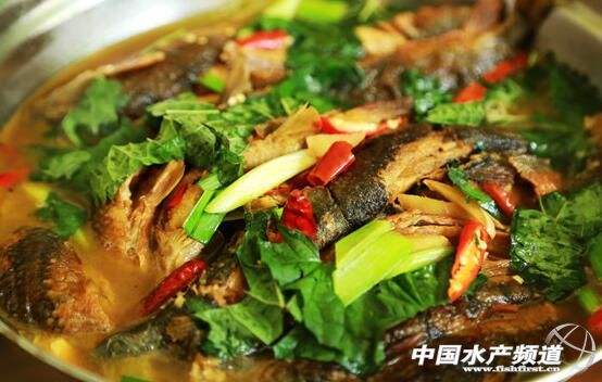 从颗粒无收到年赚百万,一位“农民赛车手”到石斑鱼“老大”的养殖之路