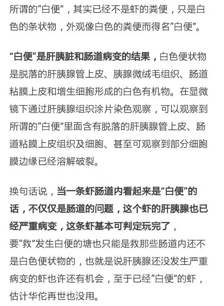 怎么治虾白便最有效,虾白便怎么治疗效果最好