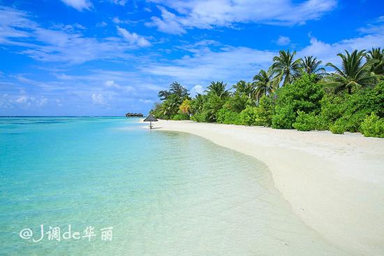 能吃遍全国美食的大学,吃遍全世界美食能去吗