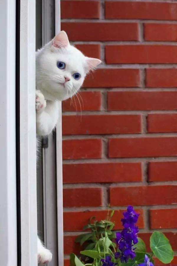 魅力中国城我们一起为凉山加油,魅力中国城城区在行动