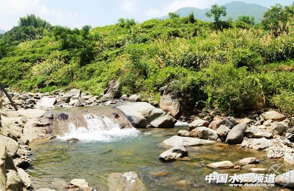 从颗粒无收到年赚百万,一位“农民赛车手”到石斑鱼“老大”的养殖之路