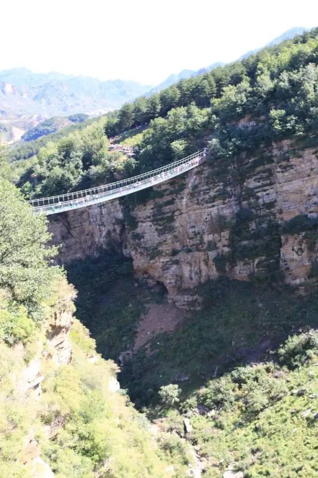 万亩森林玻璃桥,万亩荷花园玻璃栈道