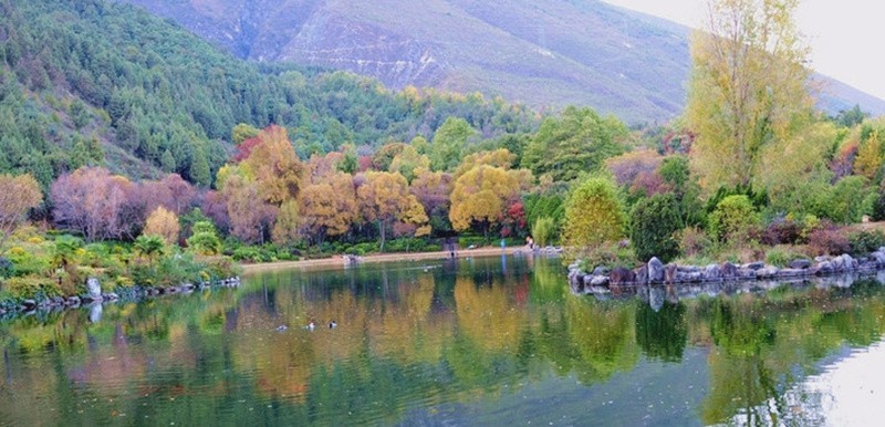 蝴蝶泉飞舞,漫天蝴蝶在花丛中飞舞视频