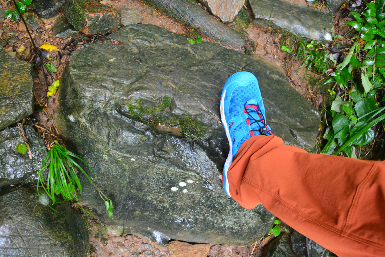 新款户外溯溪涉水鞋,新款溯溪鞋