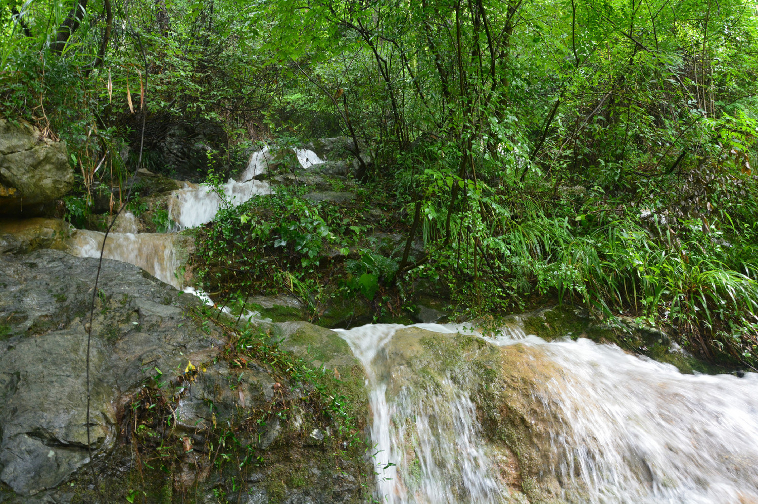 新款户外溯溪涉水鞋,新款溯溪鞋