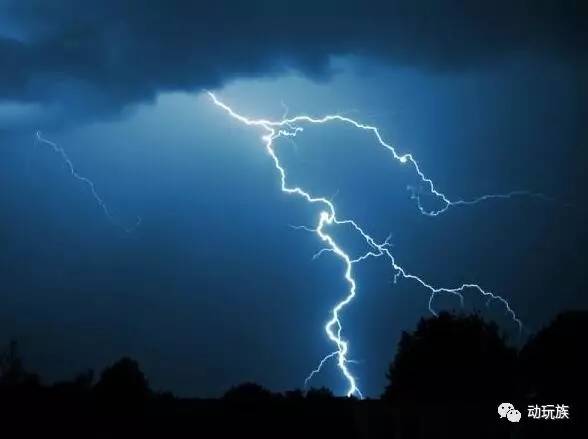 精灵宝可梦图鉴721只精灵,精灵宝可梦图鉴297