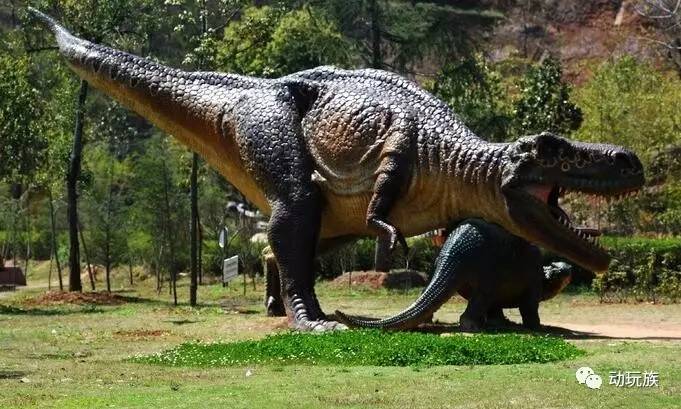 精灵宝可梦图鉴721只精灵,精灵宝可梦图鉴297