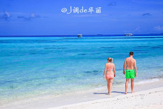 能吃遍全国美食的大学,吃遍全世界美食能去吗