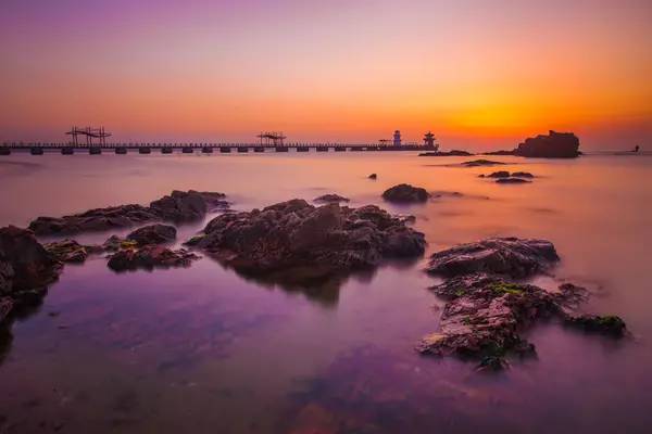 秦皇岛带狗冬天去哪里玩,北戴河三天两晚民宿可带狗