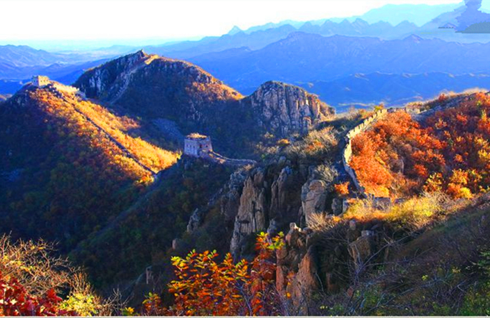 秦皇岛带狗冬天去哪里玩,北戴河三天两晚民宿可带狗