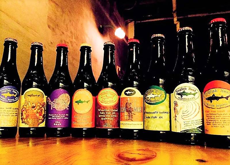 秦皇岛带狗冬天去哪里玩,北戴河三天两晚民宿可带狗