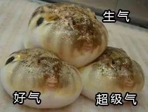 今朝上海｜永和大王、喜来稀肉相继被揭黑料，菜虫、疑似寄生虫横躺美食间，没想到网友的看法却截然相反！