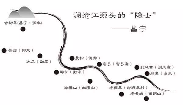 喝千年古树茶的好处,喝古树红茶出高级感