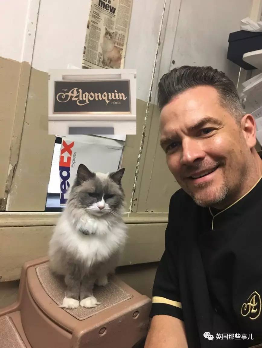 在职7年的喵掌柜终于退休,勤勤恳恳主动加班……对接任的也是放心不下啊……