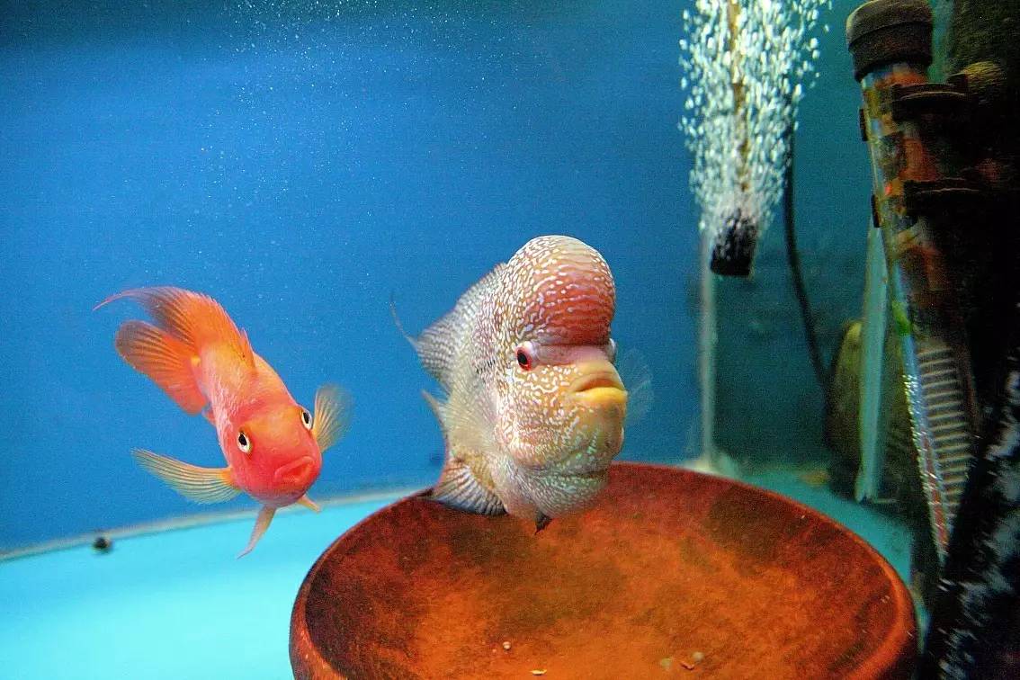 手把手教你如何正确消毒,用什么消毒对冠状病毒有效