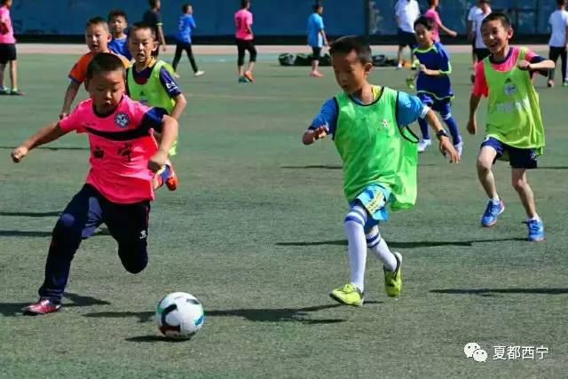 全国贝贝杯足球赛,足球小将全国大赛全集