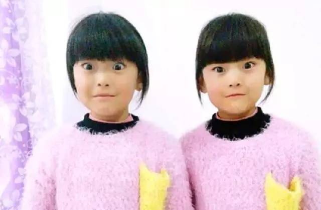 新奇特稀奇！宁夏这所小学竟有10对双胞胎，老师分不清连父母也混淆