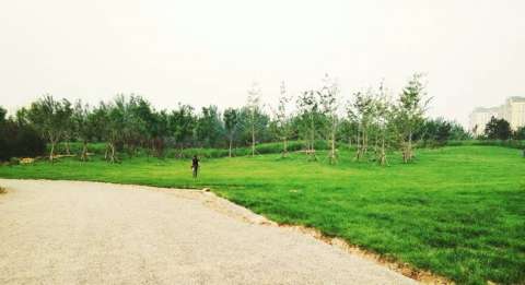 北四环塔院村变身百亩绿地将改建北京首条通风廊道