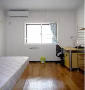 鐣欏鏃ユ湰,鏃ユ湰娉曟斂澶у