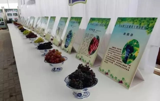 镇江拆迁规划,镇江十大特色小镇