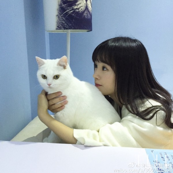 鞠婧祎snh48总选第五届排名,鞠婧祎snh48总选第一站图