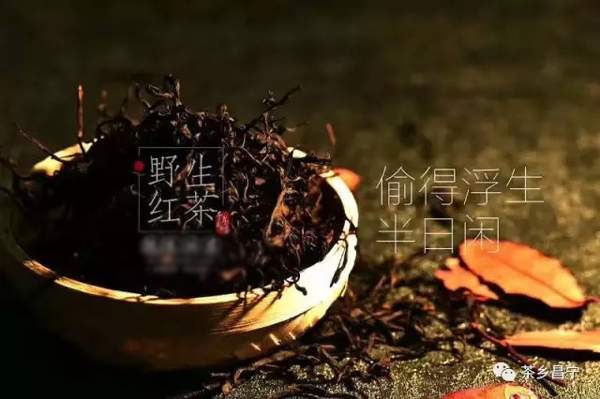 喝千年古树茶的好处,喝古树红茶出高级感