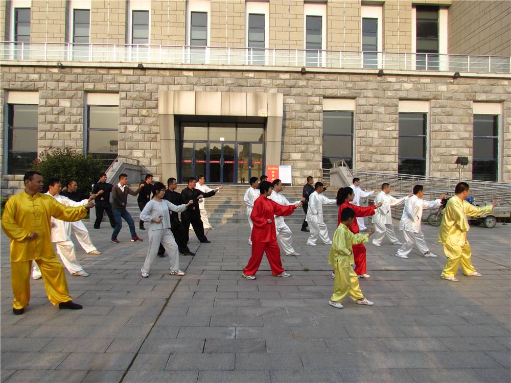 非遗形意拳,梅花拳非遗