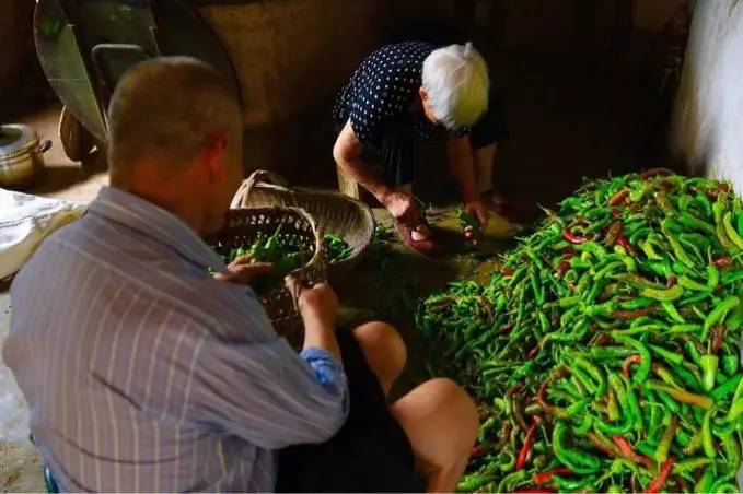 竹溪农家泡菜,竹溪特色泡菜有哪些