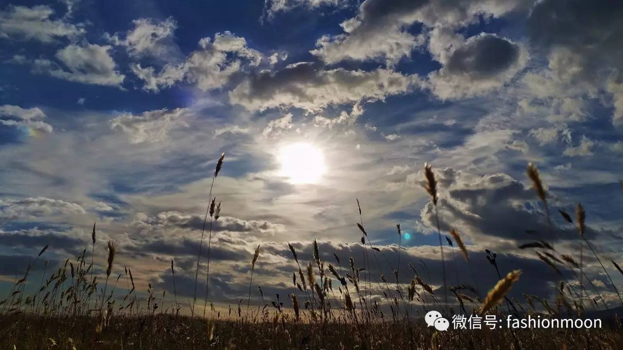 对不起我的图片大全,对不起我的手机图片