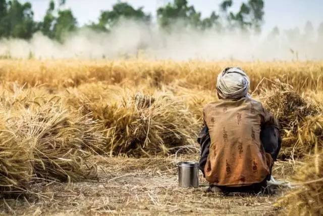 一飞智控凭何俘获央视《机智过人》的芳心？