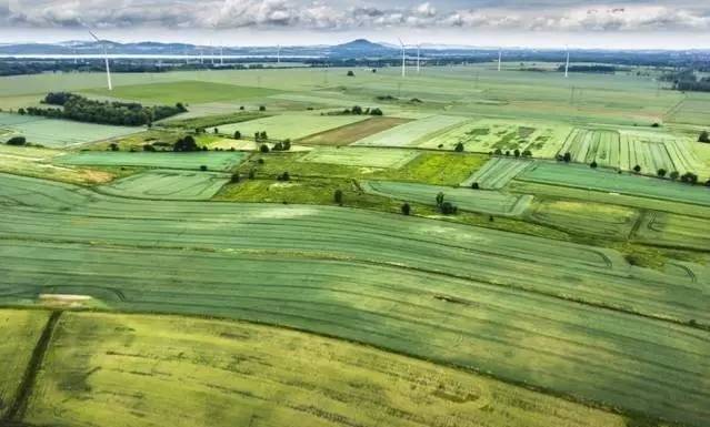 一飞智控凭何俘获央视《机智过人》的芳心？