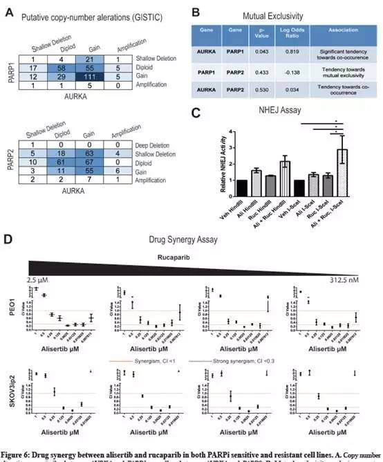 详细说明2种dna损伤修复机制,DNA损伤修复机制有什么