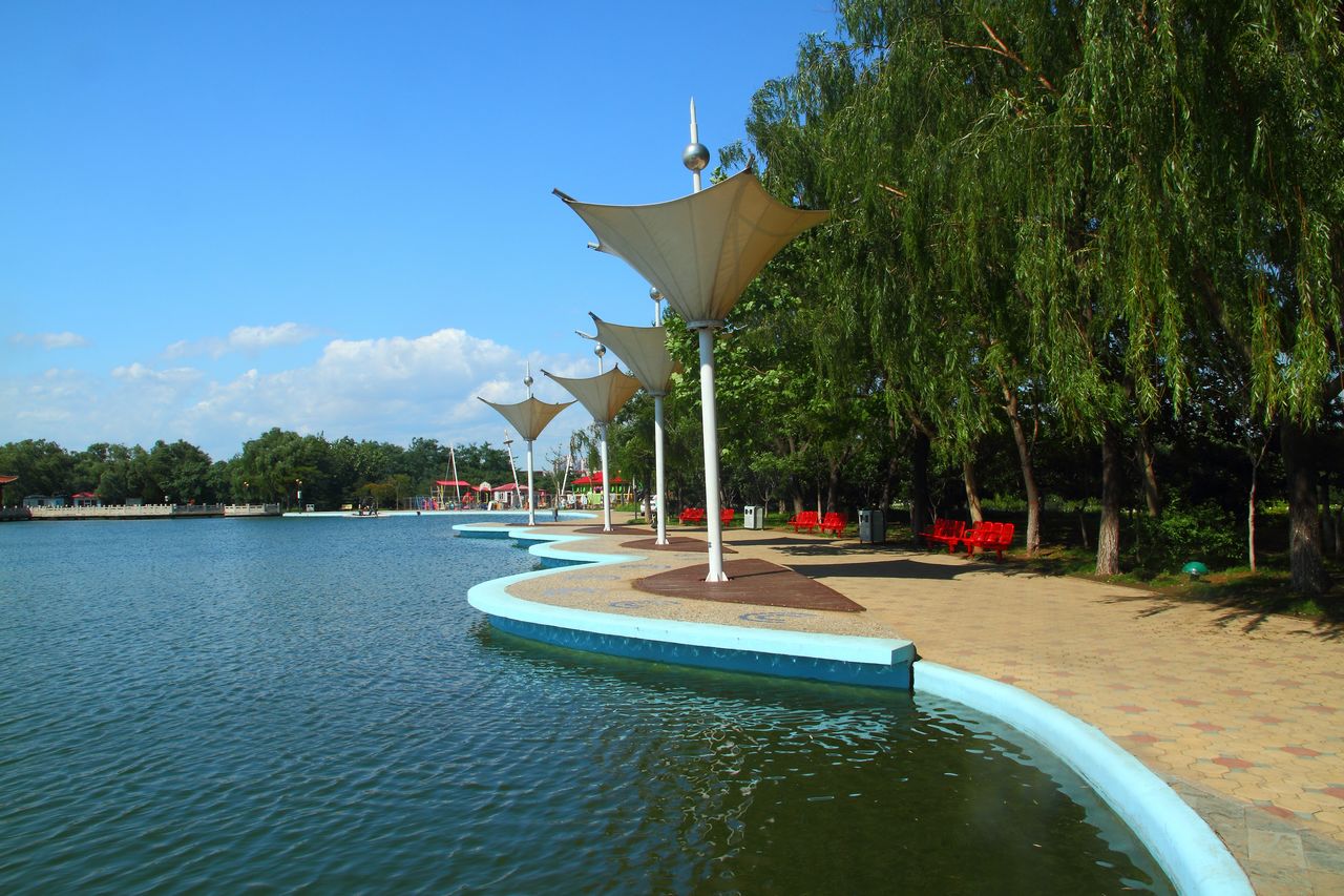 秦皇岛带狗冬天去哪里玩,北戴河三天两晚民宿可带狗