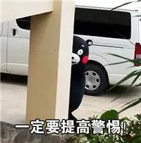 今朝上海｜永和大王、喜来稀肉相继被揭黑料，菜虫、疑似寄生虫横躺美食间，没想到网友的看法却截然相反！