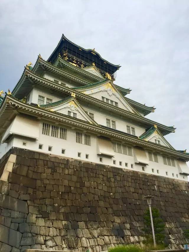 子桐品｜处女星奇幻漂流记（下）：日本街头寻宝记