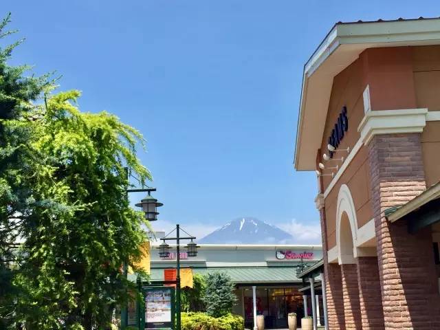 子桐品｜处女星奇幻漂流记（下）：日本街头寻宝记