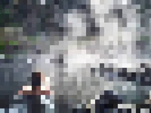 子桐品｜处女星奇幻漂流记（下）：日本街头寻宝记