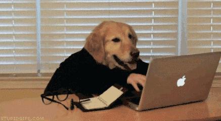 留学生做代购的感想,留学生干代购能赚多少钱