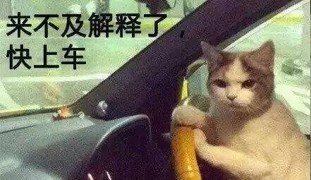 有哪些名字逗比的科学定理？