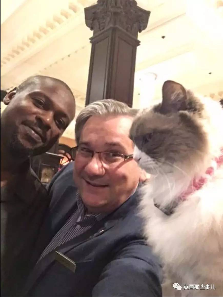 在职7年的喵掌柜终于退休,勤勤恳恳主动加班……对接任的也是放心不下啊……