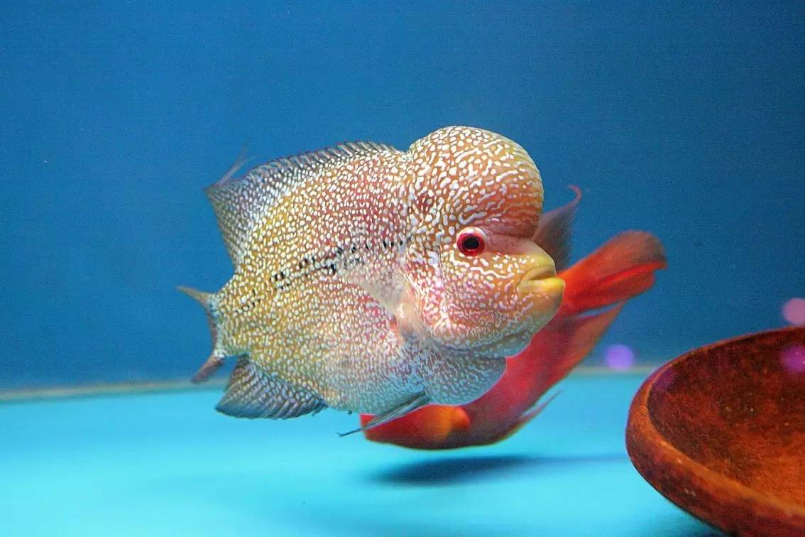 手把手教你如何正确消毒,用什么消毒对冠状病毒有效