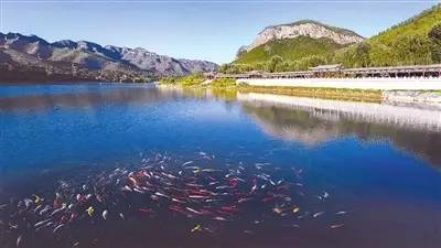 广西获得国家全域旅游示范区名单,广西全域旅游示范市