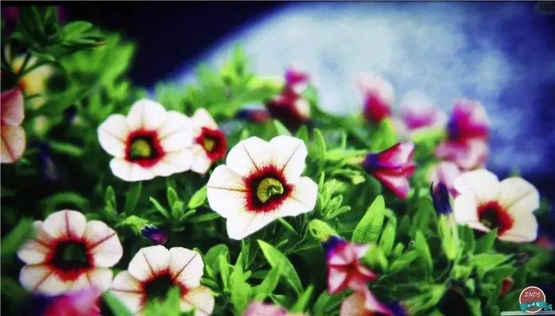 酷乐视q7标准版设置,酷乐视q7深度测评