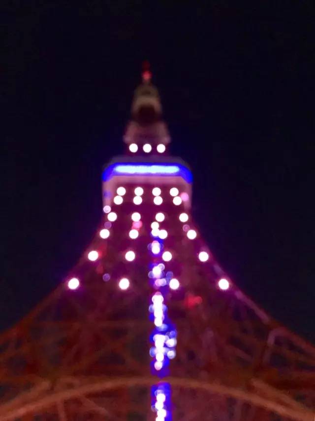 子桐品｜处女星奇幻漂流记（下）：日本街头寻宝记