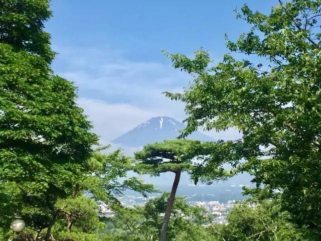 子桐品｜处女星奇幻漂流记（下）：日本街头寻宝记