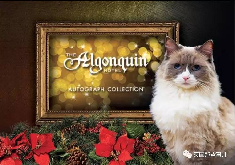 在职7年的喵掌柜终于退休,勤勤恳恳主动加班……对接任的也是放心不下啊……